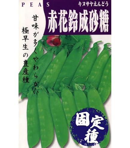 Amazon | 株式会社トーホク 絹さやえんどう 01250 | 野菜